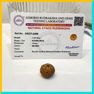 9 Mukhi (9 Face) Lab Certified Original Rudraksha Bead
