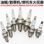 Motorcycle Spark Plug B7TC/E6TC/F7TC/F5TC/CR8E/Two Rush Motorcycle Spark