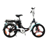 Ebike Eco Drive V2