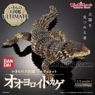 Reference Number Warehouse $11-December BANDAI Box Toy Biological Illustrated Book Giant Ring-Tailed
