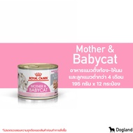 Royal Canin Mother &amp; Babycat อาหารสำหรับ แม่และลูกแมว