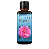 Growth Technology Camellia Focus 300ml (Camelia and Pandan Plant Fertilizer/Bonsai Blooming Fertilizer Bonsai Flowering Fertilizer Nitrate Nitrogen Potassium Phosphorus Calcium Iron Copper Manganese Magnesium Sulphur Zinc Seaweed Humic Acids)