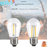 GESH1 Vintage Bulb  1W 2W Incandescent light bulb