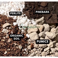 Aroid Potting Mix Soil