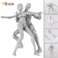 2.0 Action Figure Model for SHF Body Kun Doll PVC Body-Chan DX Set