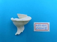 superlin30 貝殼批發 a157-0301 瑪娃花仙螺 (35*32*21 mm)
