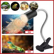 A1 - (25W燈泡+燈架) UVA+UVB 烏龜曬背燈 爬蟲曬背太陽燈日光燈