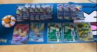 Pokémon Card PTCG  寶可夢 大比鳥V Vmax 