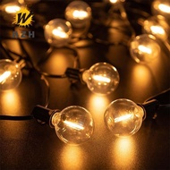 E12 Plastic Led Light Bulbs 1W G40 DC12V 25PCS Low Voltage Replacement Bulb for Off-Grid Solar Strin