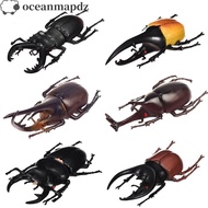 OCEANMAPDZ Simulation Beetle Non-Toxic Teaching Aids Simulation Animals Fake Beetle Beetle Figures J