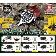 Gashapon Bandai Kuwaita Hercules Beetle Action Vol.03 Animal Model