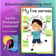 Five Senses Kids learning chart Laminated A4