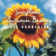 [30pcs] Biji Benih Bunga Matahari Autumn Beauty Sunflower seeds 向日葵花种子 [Iris Gardening]