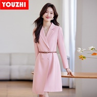 Women Pink Long Sleeve Autumn & Spring Elegant Lady High-End Goddess Style Premium Suit Dress AYM-98