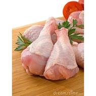 CHICKEN DRUMSTICK FRESH / 500G