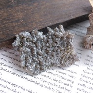 Smoky Quartz 內蒙產地 茶晶 烟晶晶簇 天然礦石 原礦