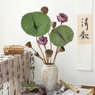 Bouquet Decorations Decorations Natural Air-Dried Lotus Decoration Vase Lotus Leaf Living Room Lotus