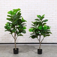 Fiddle Fig  Artificial Plant Pokok Viral PREMIUM (READYSTOCKS)