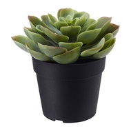 FEJKA Decorative Synthetic Plant Artificial Cactus Succulent Plant 9cm