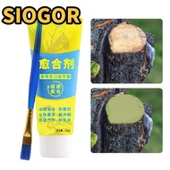 SIOGOR Tree Wound Sealant, 100g Smear Agent Grafting Tree Sealer,  with Brush Tree Repair Plant Rest
