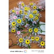 Gerbera essence for March 8