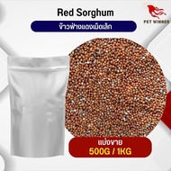 ฟ่างแดงเม็ดเล็ก Red Sorghum อาหารนก กระต่าย หนู กระต่าย กระรอก ชูก้า และสัตว์ฟันแทะ อาหารสัตว์เลี้ยง (แบ่งขาย 500G / 1KG)