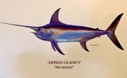 Xiphias gladius - The Fish of My Lifetime... a short story by Michael Fowlkes Michael Fowlkes