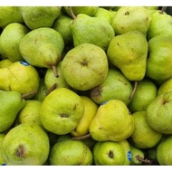 1kg Buah Packham Pear Segar