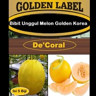 Bibit Unggul Melon Golden Korea | Benih Melon Golden Korea