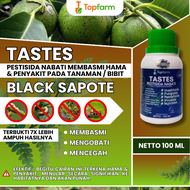Obat Semprot Buah Black Sapote / Obat Tanaman Black Sapote / Obat Buah Black Sapote / Obat Hama Buat