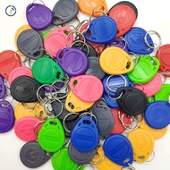 Read Only RFID 125 khz EM4100 Key Tag Keyfobs Ring Chip Keytab TK4100 Tags 125khz
