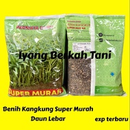 Benih Kangkung 1 KG SUPER MURAH Produk Permata Baru | Bibit Kangkung 1 kg