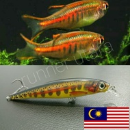 Fishing Lure Gewang Minnow Fish Kids Seluang Seluang Casting Siakap toman Haruan Seabarau Fishing ro