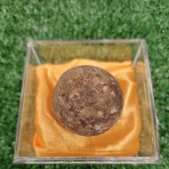 Yf. ( Arrow Pig Dates/Pork Dates) Indonesian Half-Powder Dates = 1 Serving (Cell Rebirth, Improve Im