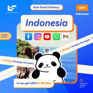 Indonesia 印度尼西亚 eSIM , High-speed 4G/5G + unlimited | 2-7 Days 1GB - 5GB Data | Email Delivery | Tra