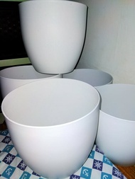 5PCS. Big and Classy white indoor pots for plants (8x8 inches) 55 pesos each only