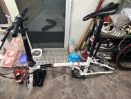 Dahon 摺合單車架