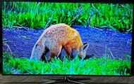 Samsung 55吋 55inch UA55 K5500 Smart TV 智能 電視
