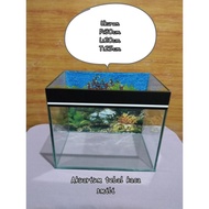 Minimalist glass aquarium size 30x20x25
