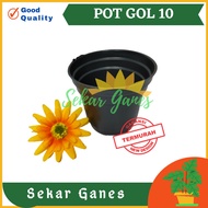 Pot Bunga 10 cm Hitam Pot Tanaman Hias Grosir Murah Plastik Pot 10cm