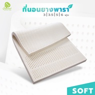 Phurinn Topper ที่นอนยางพาราแท้ รุ่น Premuim Soft ขนาด 3/3.5/5/6 ฟุต ยางแผ่น ขึ้นรูปทั้งก้อน (Topper