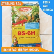 Benih Padi Hibrida Sterling BS6H Sterling BS6 Padi Hibrida BSHS6H