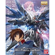 稀有商品 GUNDAM SEED DESTINY MG FREEDOM 自由鋼彈 Ver.2.0 煌大和 胸像 特別版 絕版