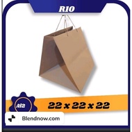 Plain Brown Paper Bag Size 22x22x22 (pack of 12 pcs) |Paper Bag |Gift Bag |Souvenir BAG |Paper bag H