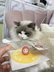 Mofusand杯蓋