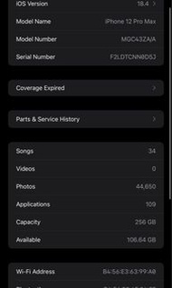 iphone 12 pro max 256GB