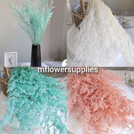 80gPure Caspia lover grass CASPIA Limonium Dried Dry Preserved Artificial Flower Bouquet Living Room