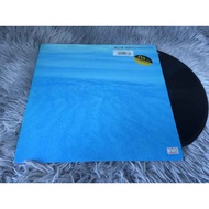 Water the Flowers Pray for a Garden 12 Inch LP G052