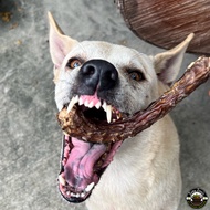 Furry Treats Duck Neck