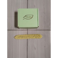 Jasmine sultan super keket Minang/Jogja 1/2 circles